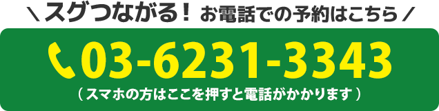 電話番号：03-6231-3343